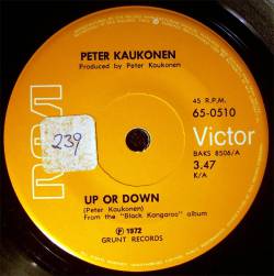 Peter Kaukonen : Up Or Down - That's A Good Question